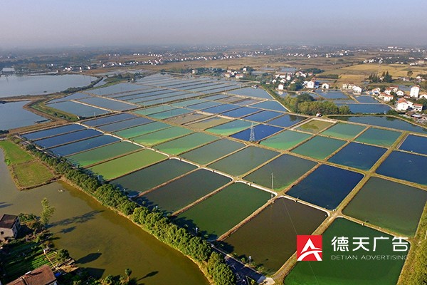 常德市德天廣告有限公司,品牌設(shè)計(jì),活動策劃,影視攝制,廣告設(shè)備租賃,媒體廣告推廣,